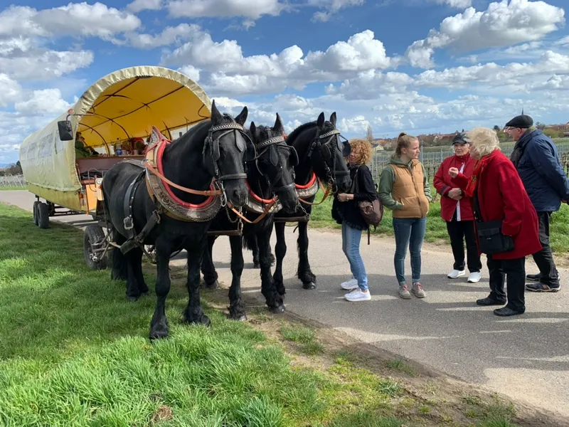 202303_Seniorenausflug